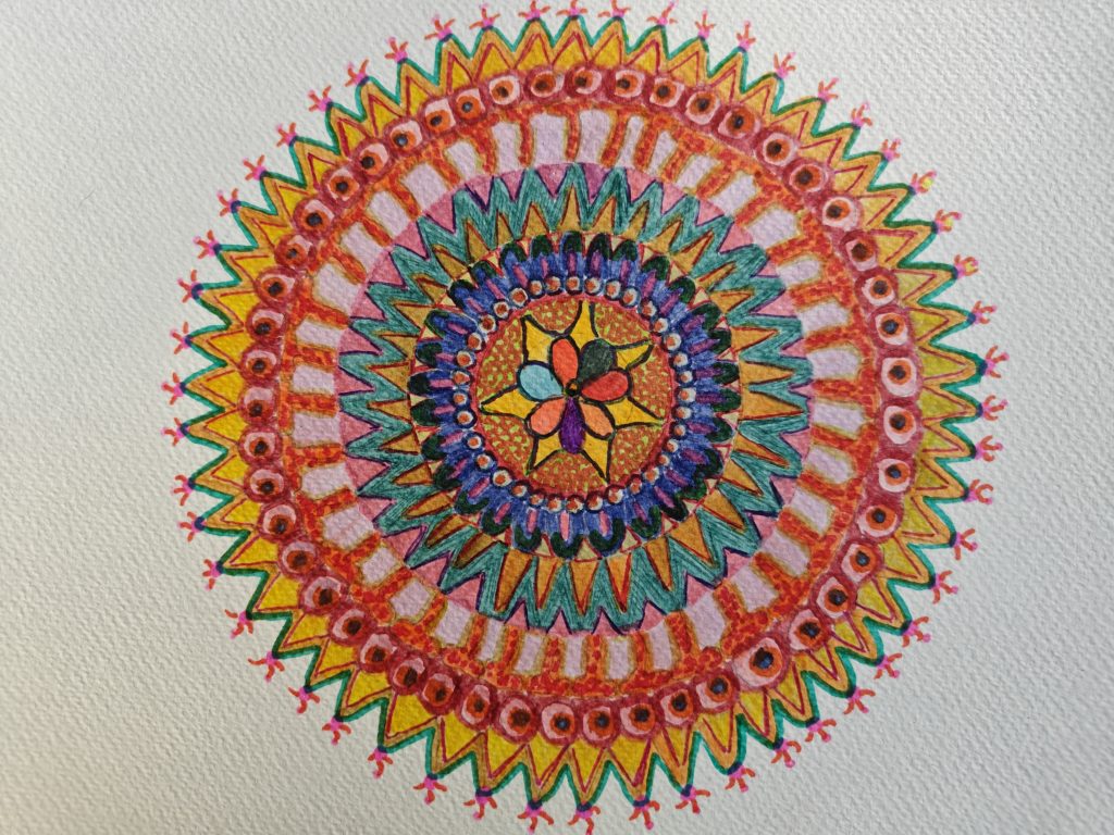 IL CICLO DELLA VITA IL CICLO DELLA VITA